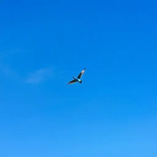 El pensador